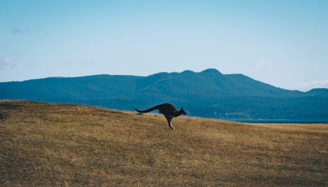 Shipping from Australia to UK | Sherpr