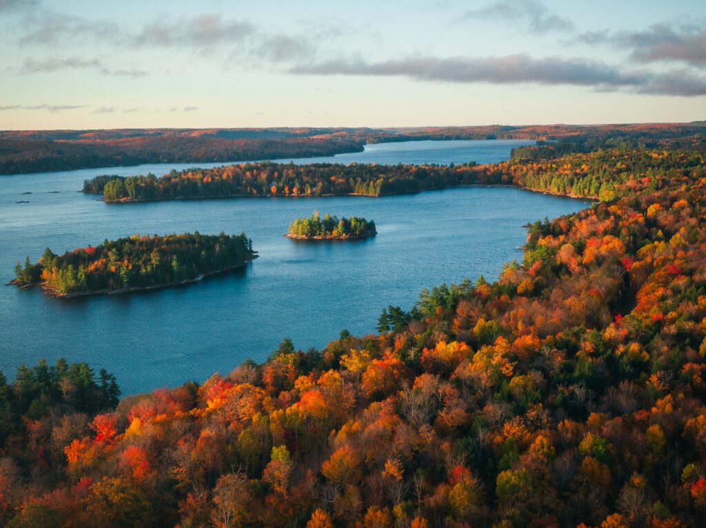 Trees and body of water in Ontario, Canada