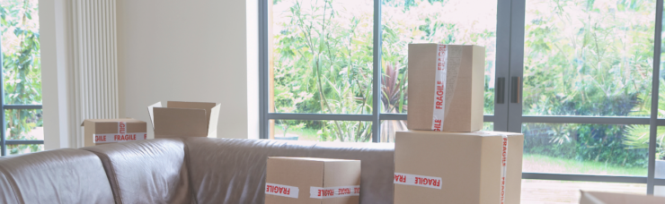 Send Package to Germany | Sherpr
