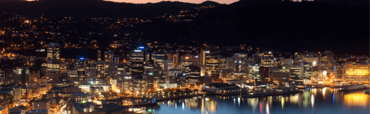 Cheapest shipping to New Zealand | Wellington | Sherpr