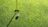 Golf club shipping | Sherpr