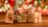 Holiday Shopping | Sherpr